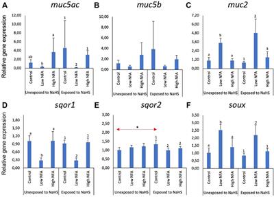 Sulphide donors affect the expression of mucin and sulphide detoxification genes in the mucosal organs of Atlantic salmon (Salmo salar)